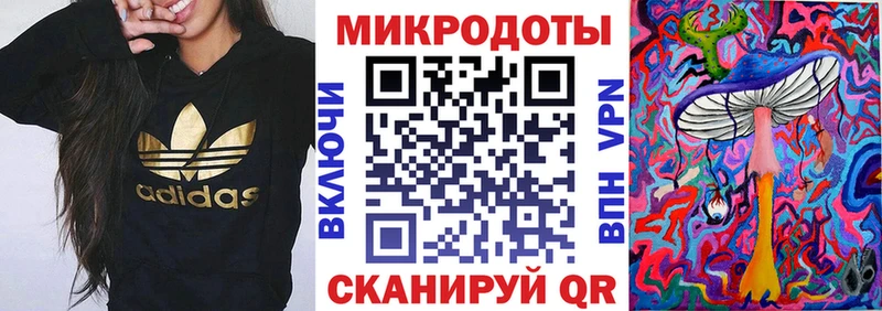 закладка Высоцк Галлюциногенные грибы Magic Shrooms